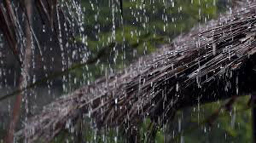 Showers expected in Eastern coast