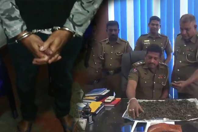 Police arrests youth with Kerala Cannabis