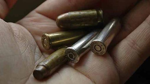 Person arrested at Sooriyawewa with live ammo