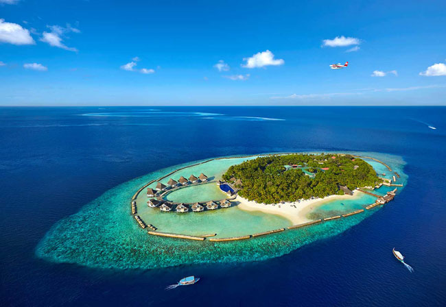 Sri Lankan in custody over fatal stabbing of compatriot in Maldives