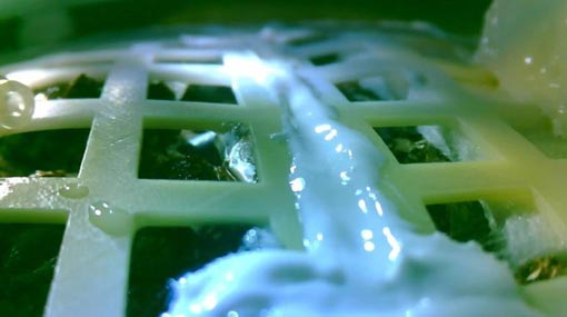 Cotton seeds carried by Chinese lunar lander sprouts on moon