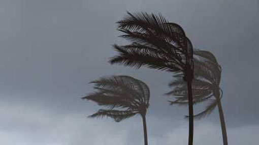 Windy condition expected to continue