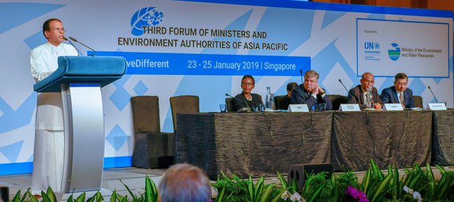 Human activities should not threaten the regeneration capacity of nature - President