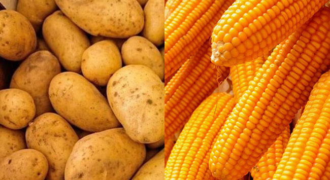 Import levy on potatoes and maize increased
