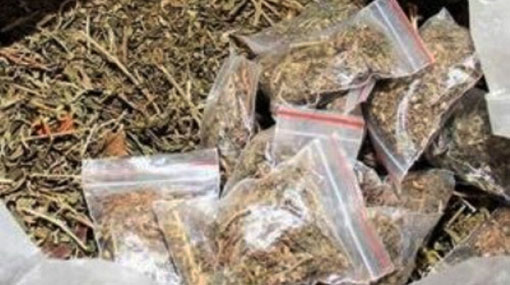 Sri Lankan arrested with marijuana in Tamil Nadu