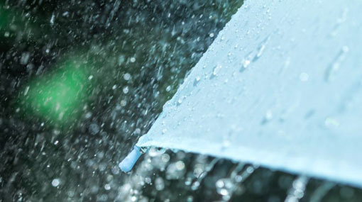 Showery condition expected to enhance within next two days