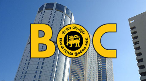 New chairman appointed for BOC