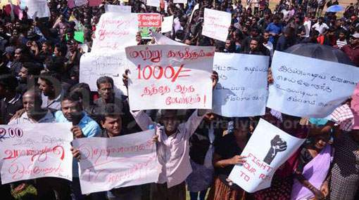 Daily wage of estate workers hiked further