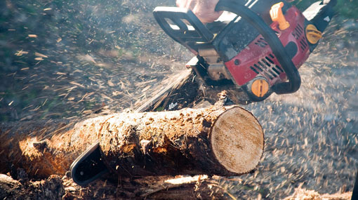 Register chainsaws at nearest police station before February 28