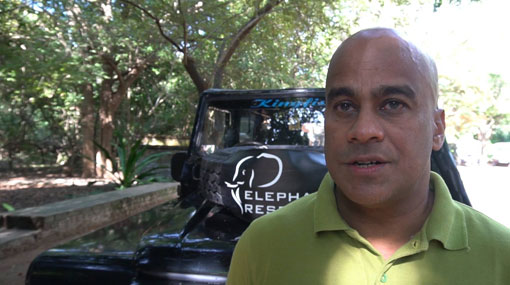 Legal certification for safari jeep drivers mandated from July