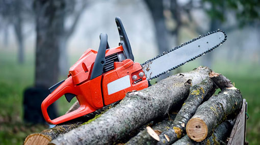 Time period for chainsaw registration extended