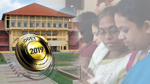 Budget 2019: Special allowance for public servants