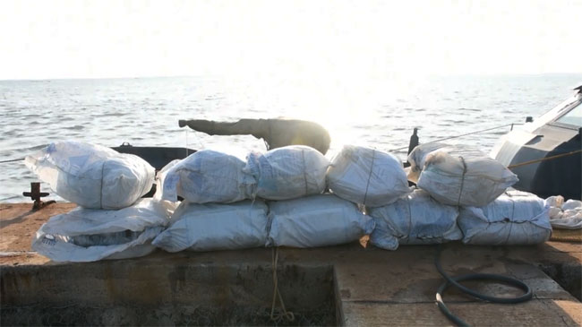 Over 1,000kg of Beedi leaves recovered during Naval raid
