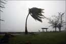 11 houses damaged due to strong winds - DMC