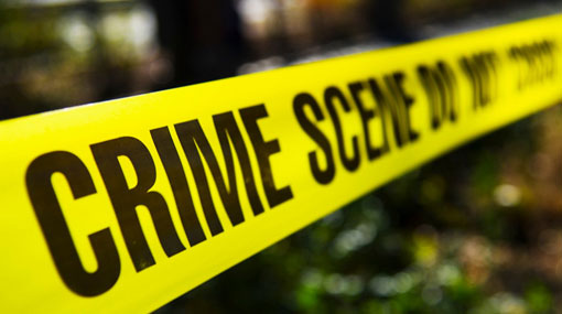Bodies of mother and son found in possible murder-suicide