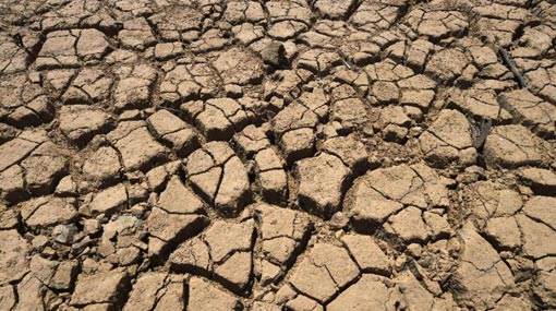 Over 50,000 persons affected by dry climate