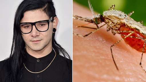 Skrillexs music protects against mosquitos, study finds
