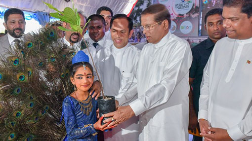 President urges all Sri Lankans to plant a sapling tomorrow