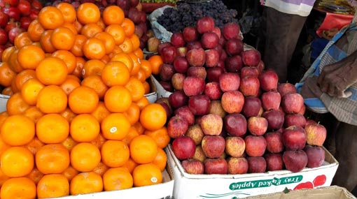 No pesticide constituents in imported fruit  Health Min.
