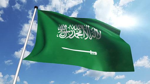 Saudi Arabia arrests Zahrans brother-in-law and colleague - report