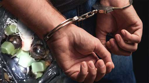 Brother of suspect nabbed over abandoned grenade parcel arrested