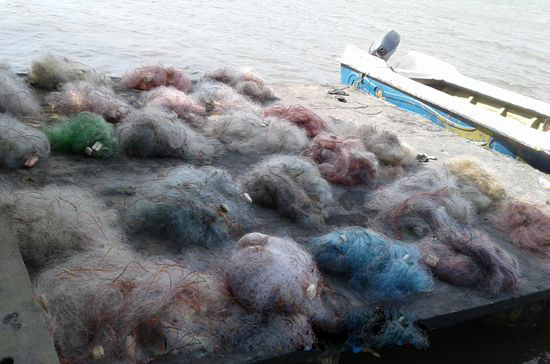 Navy recovers banned fishing nets in Ullackalie lagoon area