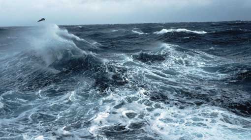 Met. Dept. warns of rough seas and gusty winds