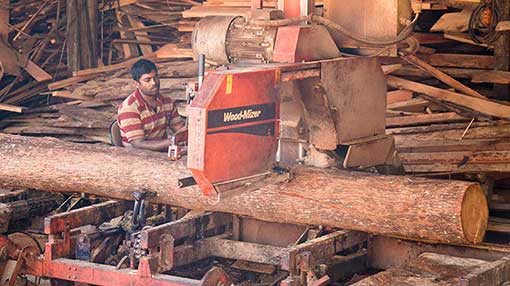 Govt says only mobile sawmills will be banned in Sri Lanka