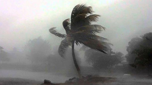 Windy condition to continue across the island