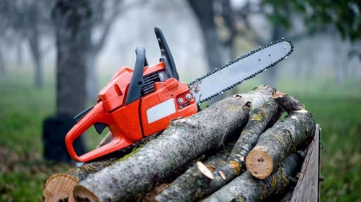 Cabinet approves Presidents proposal to ban chainsaws