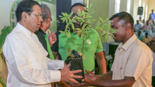 Decisions taken to protect environment will not be reversed - President