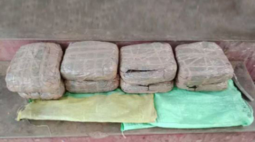 Navy busts suspect with nearly 30kg of Kerala Cannabis