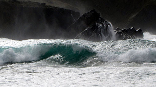 Met Dept. warns of strong winds and rough seas