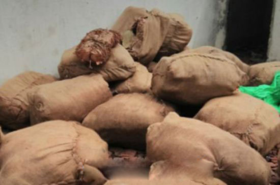 980kg of beedi leaves found at Erambugodella