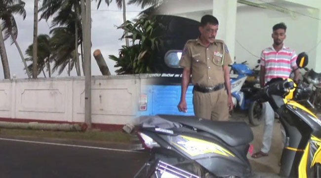 Motorcyclist dies after coconut tree falls on him