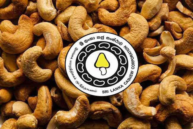 Import of cashew halted