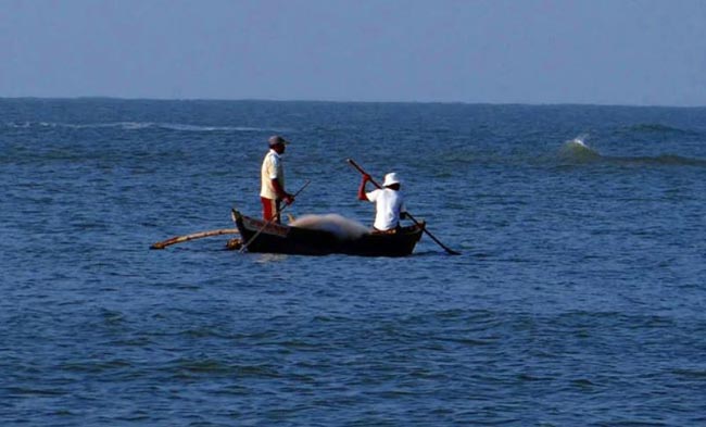 Navy arrests 7 Indian fishermen