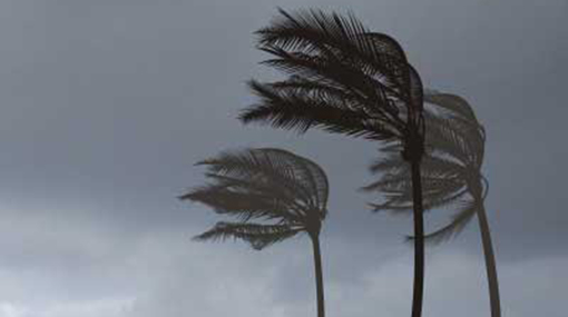 Windy condition expected to enhance