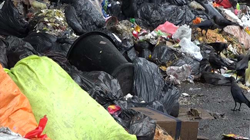 Moving garbage piled up in Colombo to Aruwakkalu commences