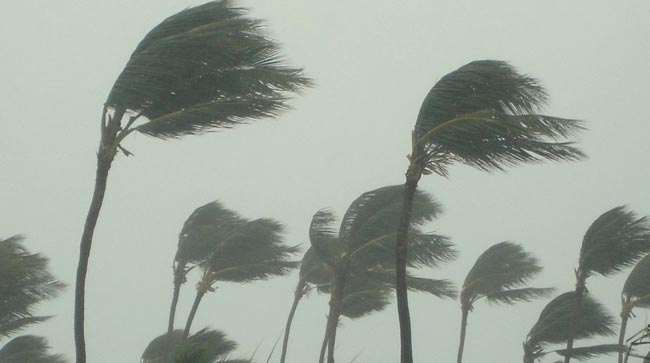Sudden increase in wind speed possible