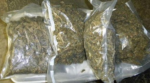 Kerala Cannabis worth Rs 25 mn seized