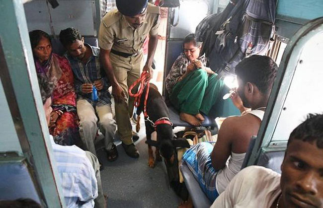 Tamil Nadu on high alert as 6 LeT terrorists enter through Sri Lanka - Indian media