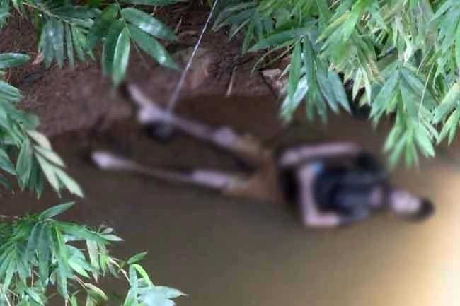 Bodies of 2 males found floating in Ma Oya