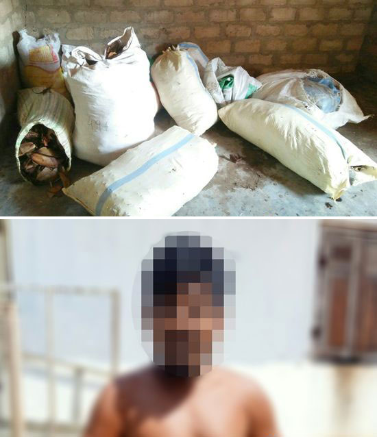 Person arrested with 192.5kg of Beedi leaves