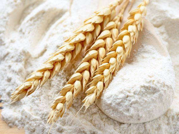 Wheat flour to be sold at previous price