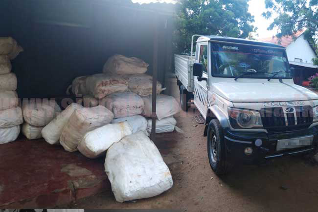 Over 1,200kg of Beedi leaves seized from Mannar