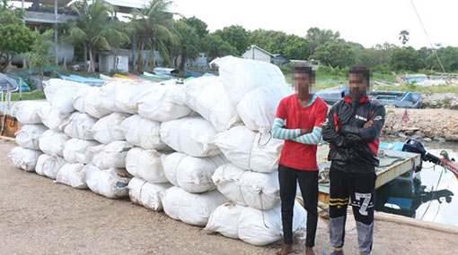 Two nabbed trafficking over 1,316 kg of Beedi leaves