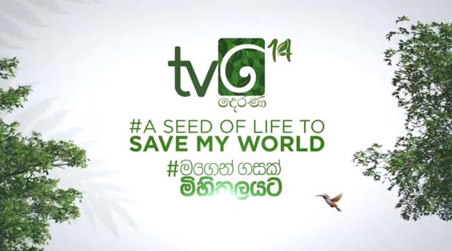 A seed of life to save my world: Be a proud part of a world record