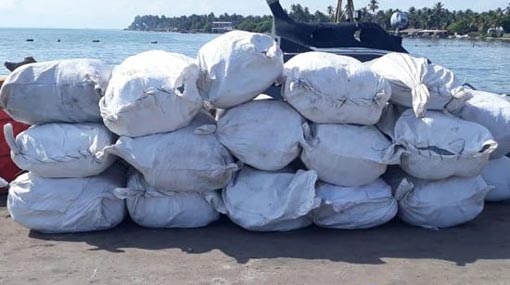 Over 880 kg of Beedi leaves recovered in Northwestern seas