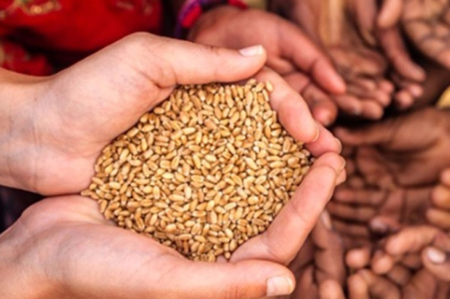 Global Hunger Index 2019: SL surpasses South Asian countries